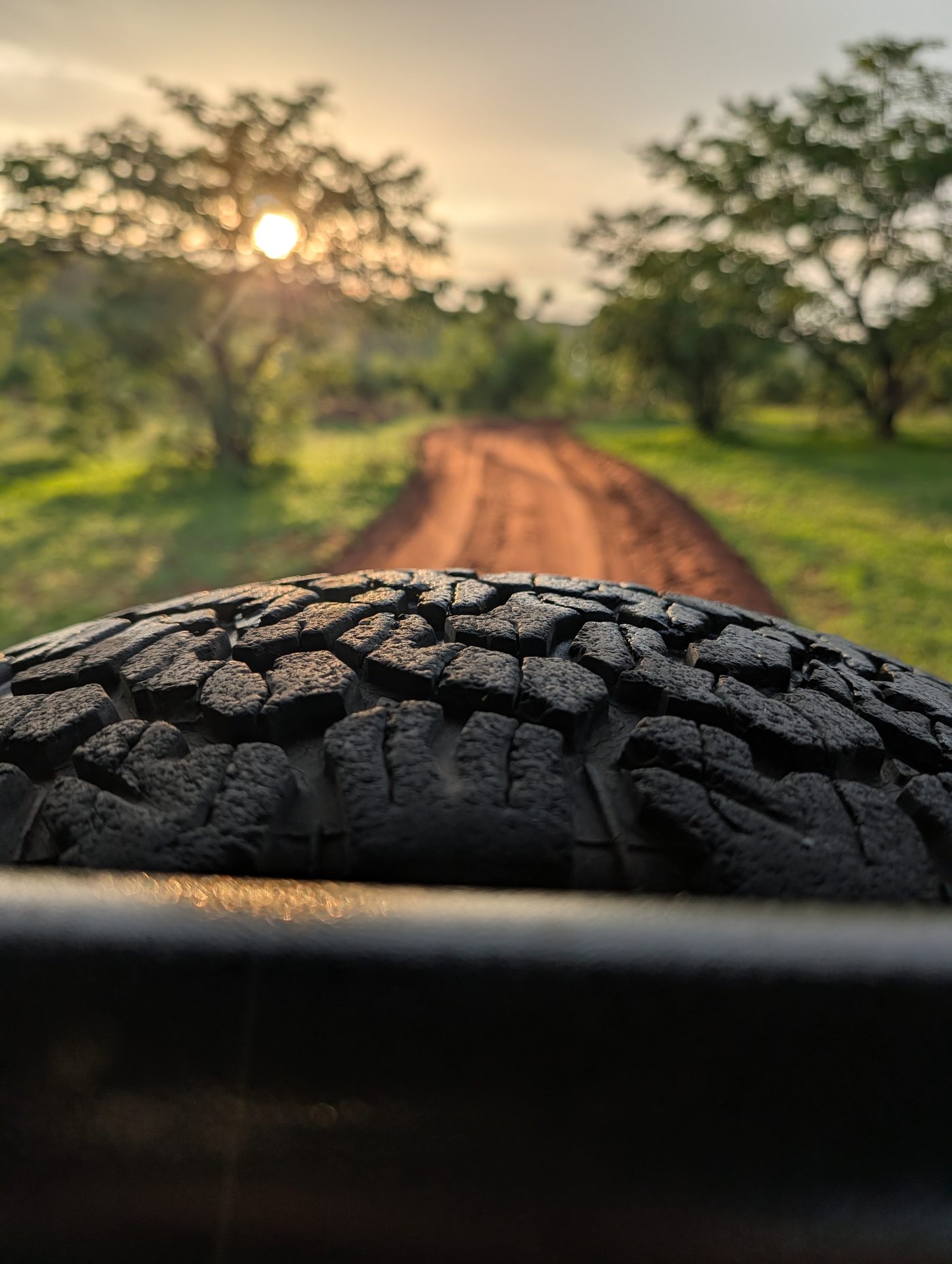Southern Africa Safari