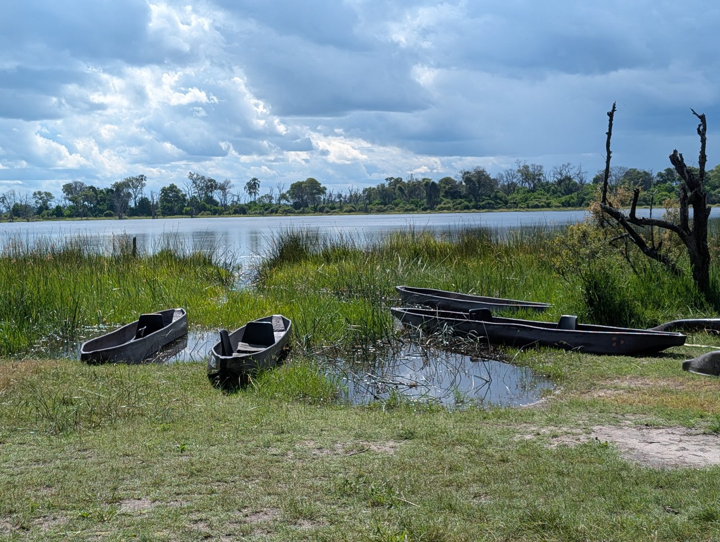 Mokoro in Okavango