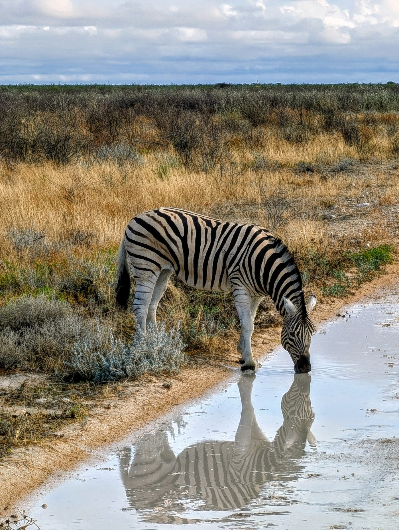 Etosha National Park