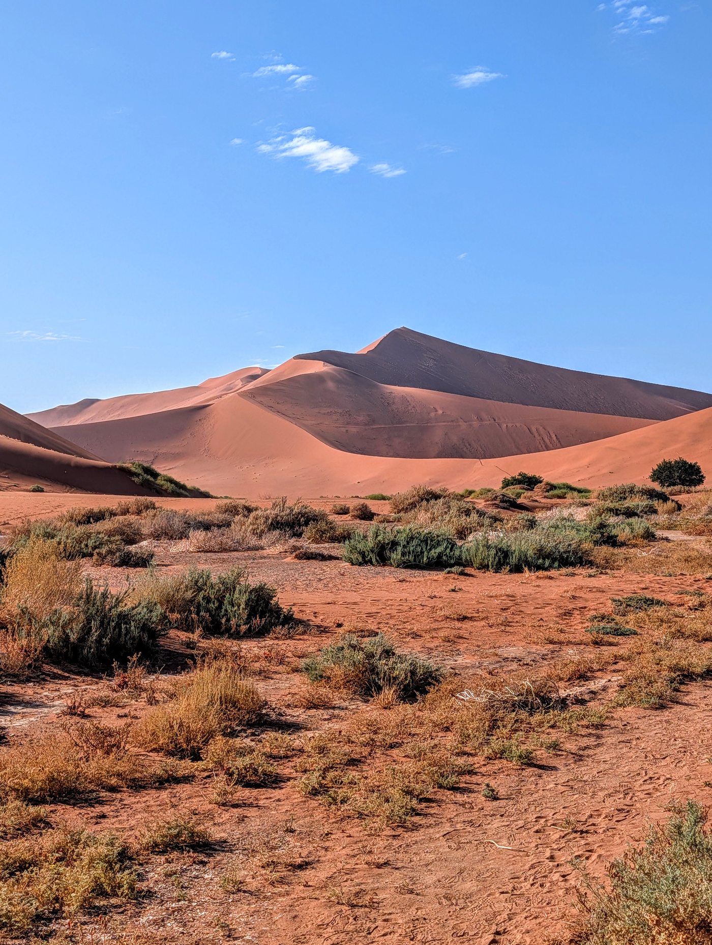 Deadvlei Sossusvlei