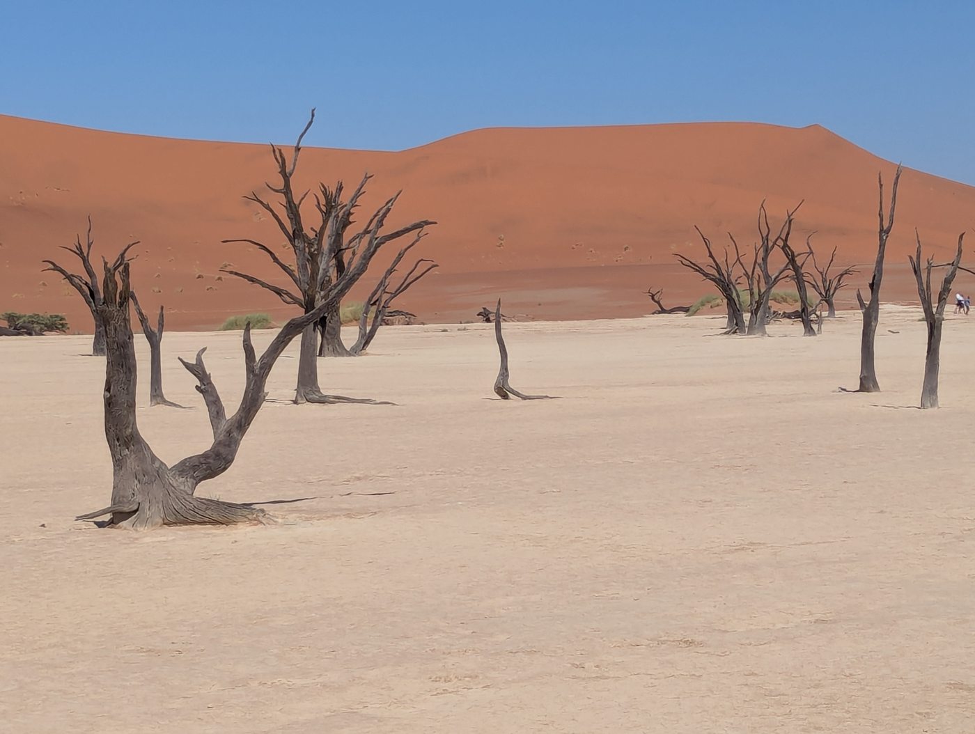 Sossusvlei Sand Dune Sea