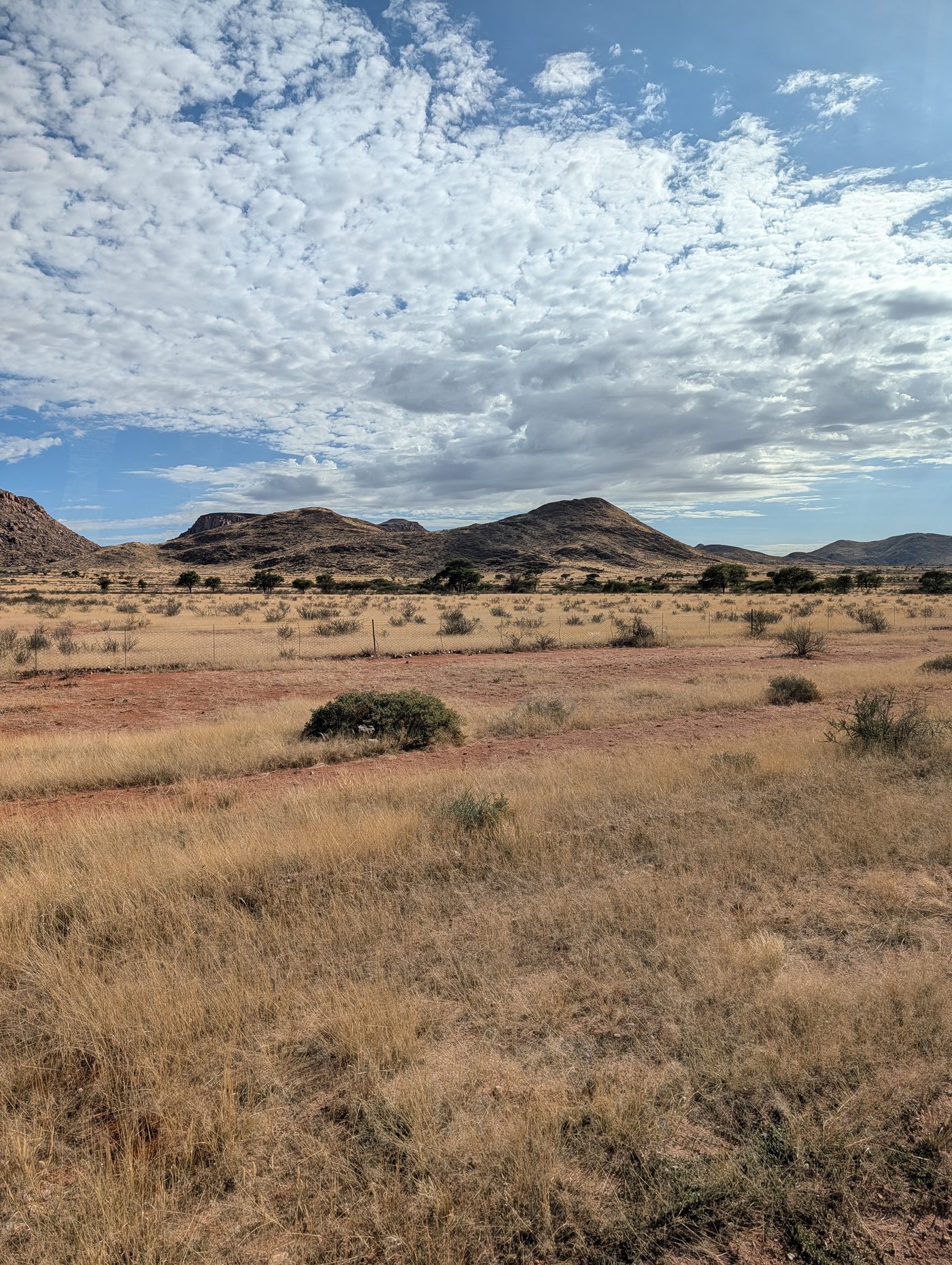 Endless Desert Road